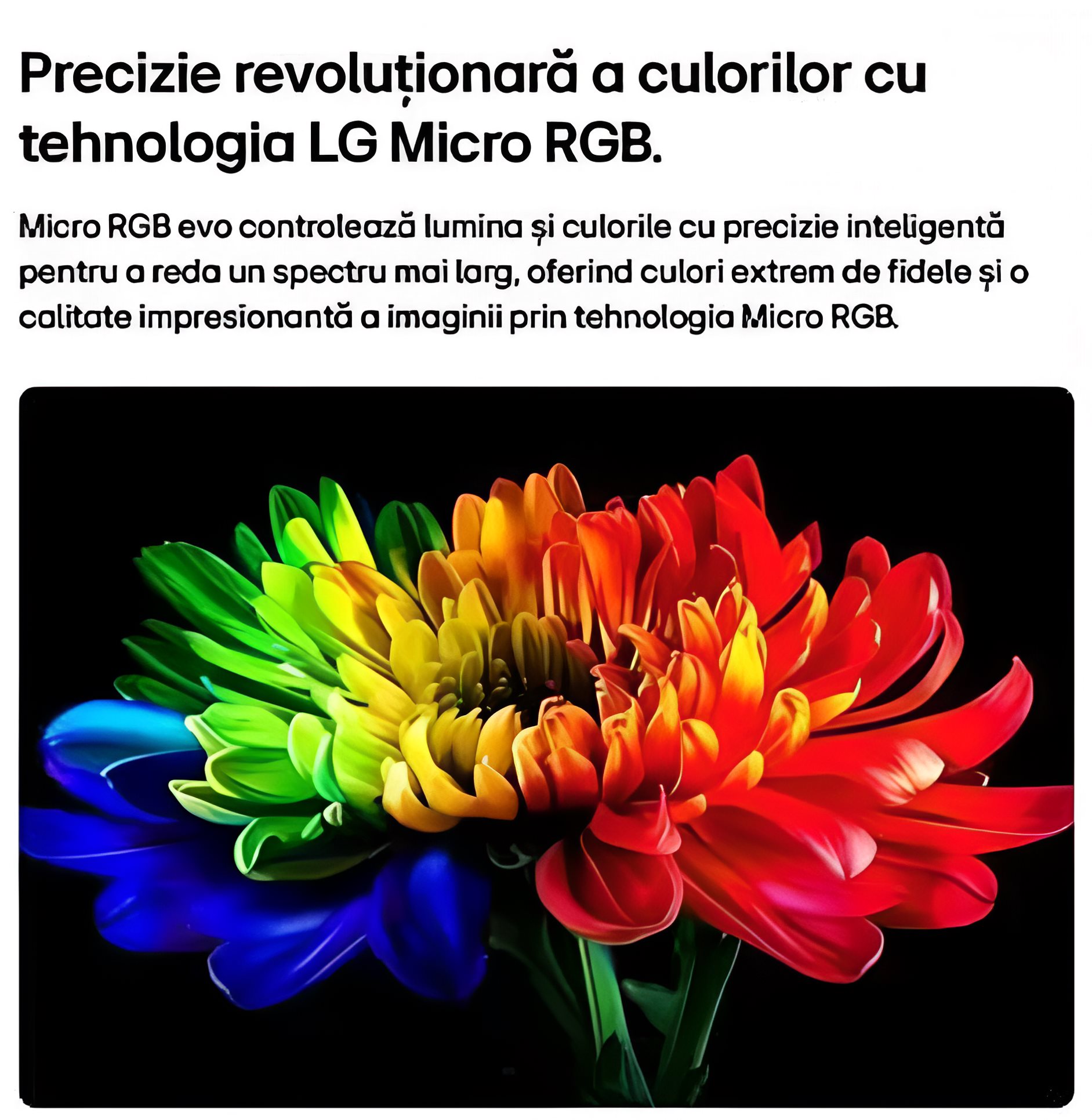 Фото 8