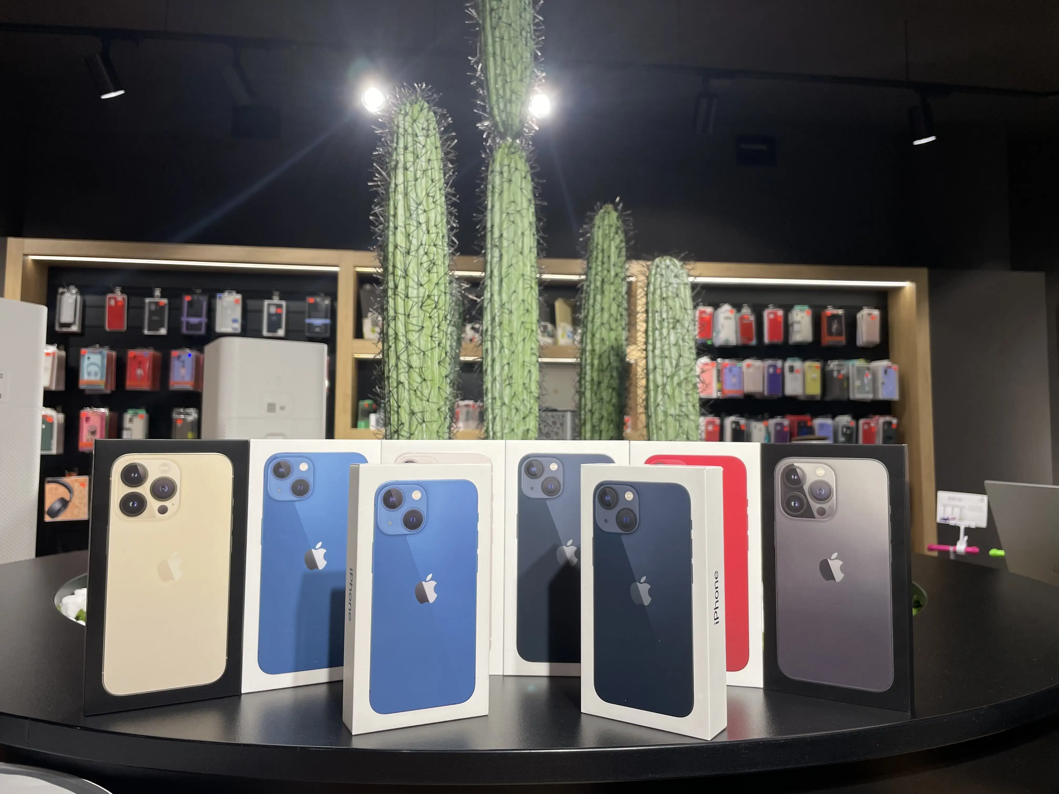 iphone 13 pro в кишиневе и молдове cactus.md