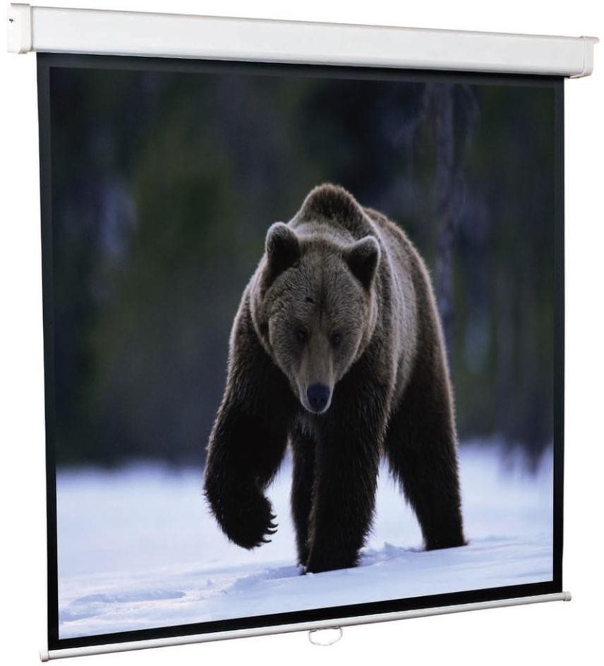 Image Проекционный экран UltraScreen Goldview 1:1 (213x213cm)