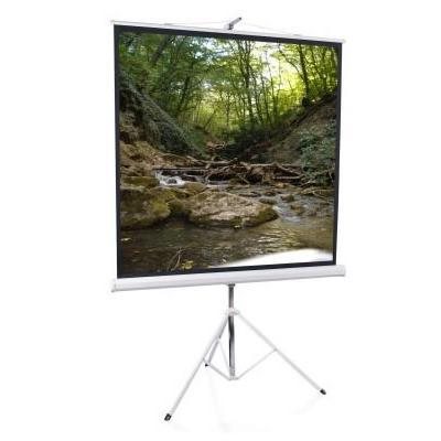 Image Проекционный экран Elite Screens T71NWS1 (White)