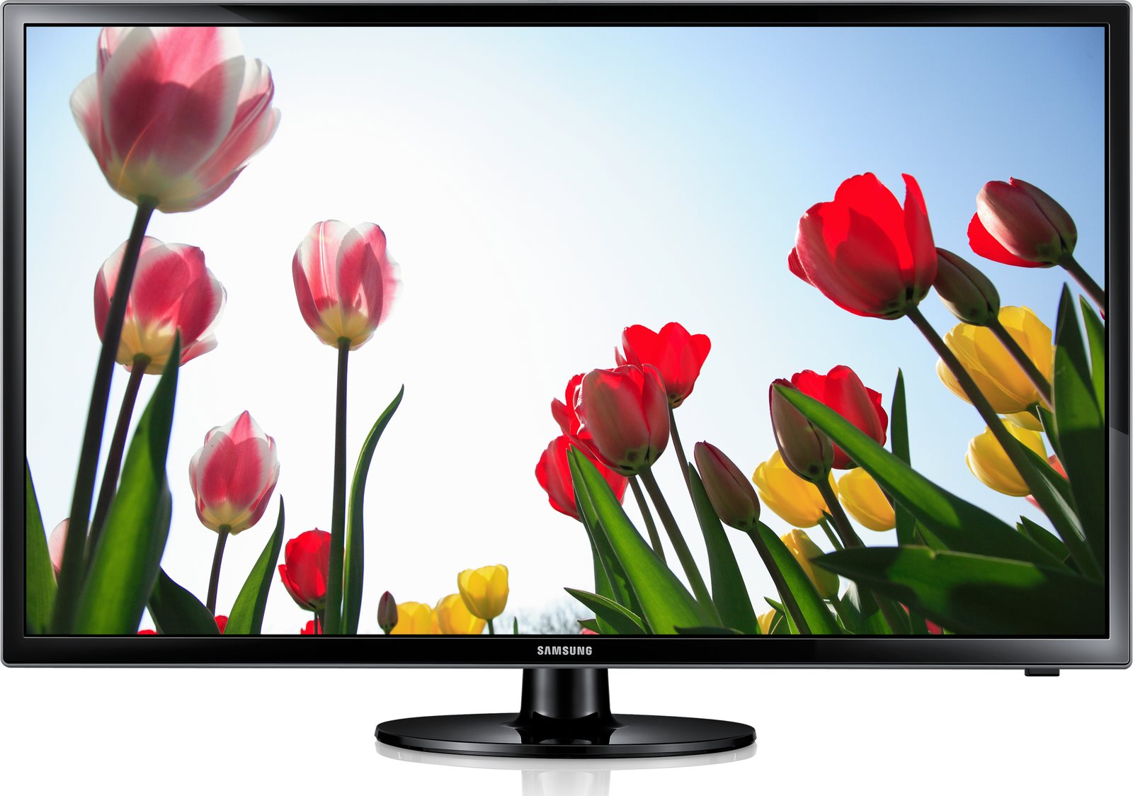 Image Televizor Samsung UE-24H4003