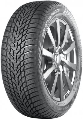 Image 255/40 R19 WR Snowproof 100V  XL