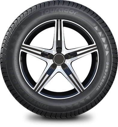Image 195/70 R14 Winter Pro TS1 91T