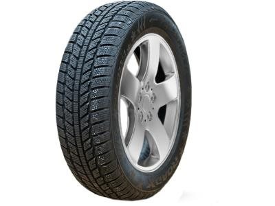 Image 205/65 R16 RXFROST WH01 95H