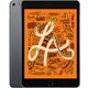 Image IPAD MINI 2019 256Gb 4G Space Gray