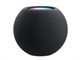 Image Портативная колонка Apple HomePod mini Space