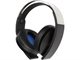Image Наушники Sony PS4 Platinum 7.1