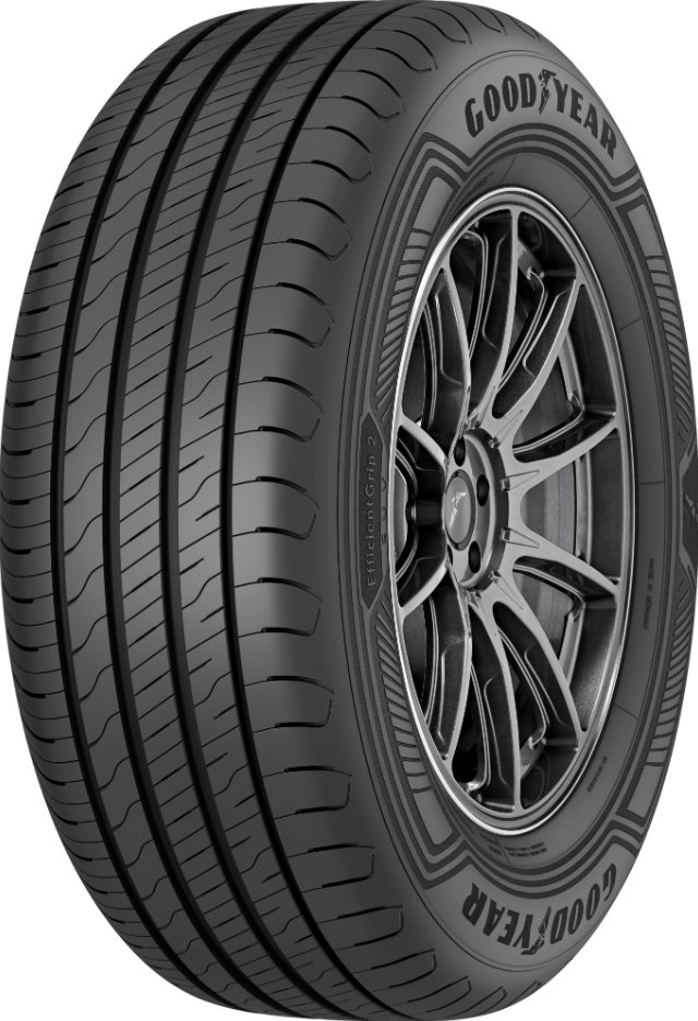 Image Шины Goodyear EfficientGrip 2 SUV 225/60 R18 100H
