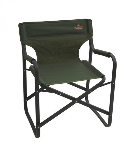 Image Scaun Pinguin Director Green