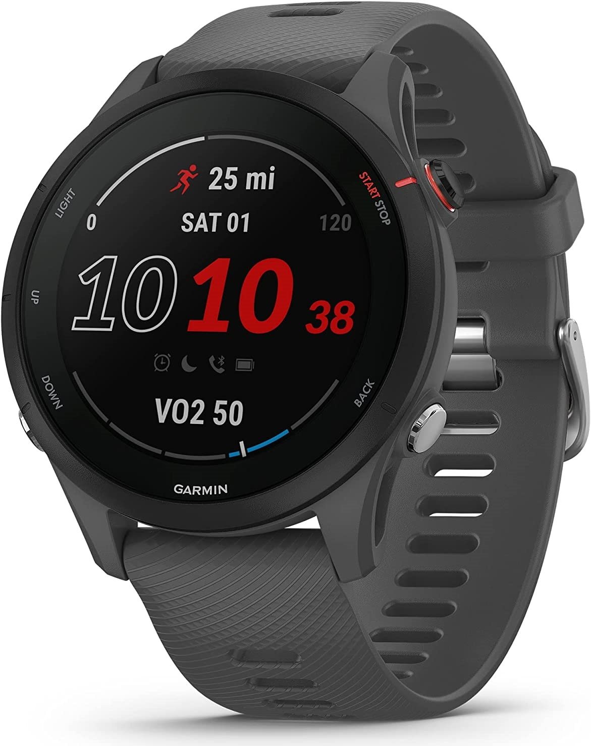 Image Умные часы Garmin Forerunner 255 Slate Grey (010-02641-10)