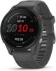 Image Умные часы Garmin Forerunner 255 Slate Grey (010-02641-10)