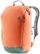Image Рюкзак Deuter Stepout 16 Chestnut, Ivy