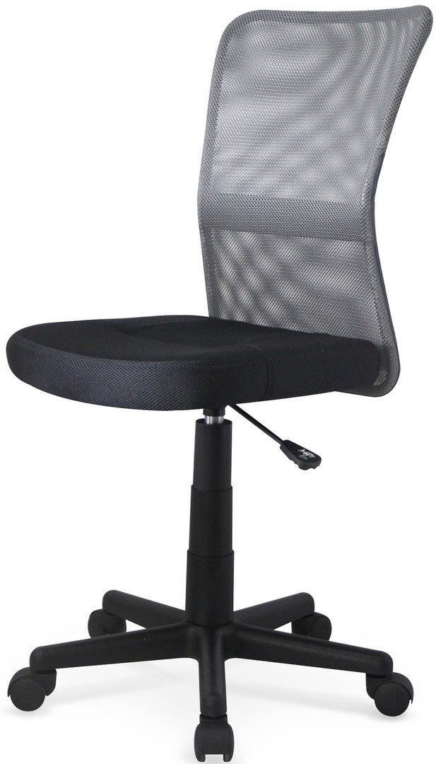 Image Scaun pentru copii Halmar Dingo Gray, Black