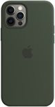 Image Чехол Original iPhone 12/12 Pro Silicone Case with MagSafe Cypress Green
