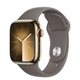 Image Умные часы Apple Watch Series 9 GPS+LTE 41mm MRJ53 Gold St. Steel, Clay Sport Band S/M