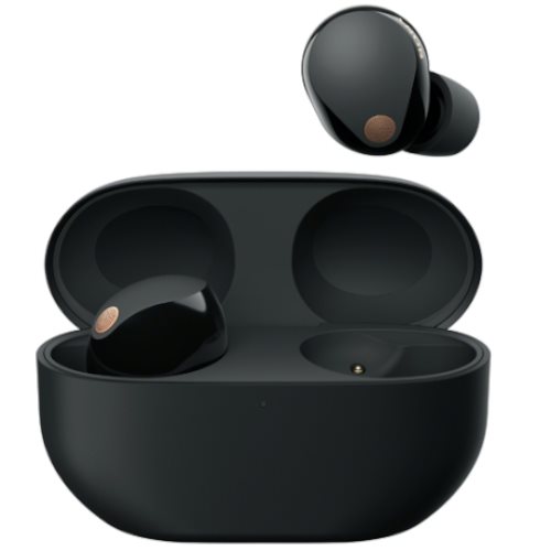 Image Наушники Sony WF-1000XM5 Black