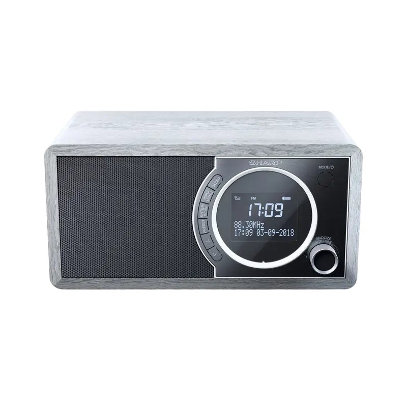 Image Портативное радио Sharp DR-450GRV02