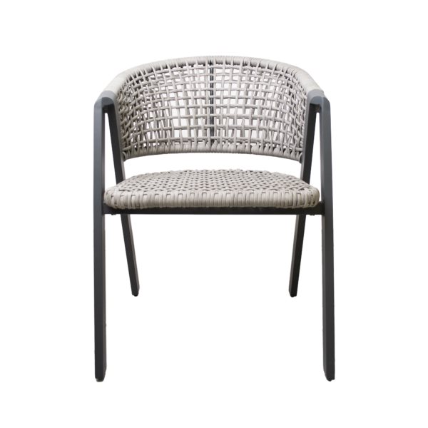 Image Scaun DP Opera Garden