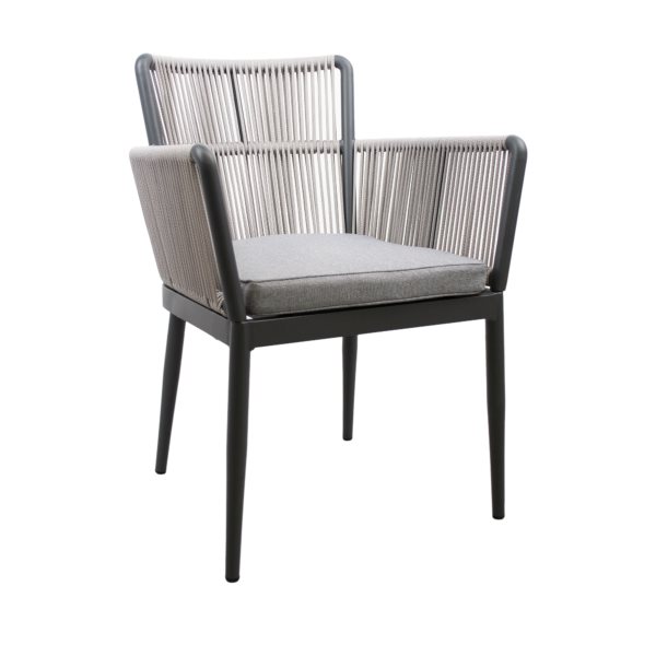 Image Стул DP Harly Garden