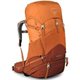 Image Рюкзак Osprey Ace 50 II Orange Sunset