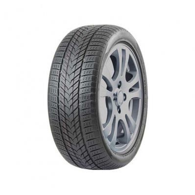 Image Anvelope Arivo Winmaster ProX ARW5 265/50 R20 111H XL