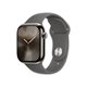 Image Умные часы Apple Watch Series 10 GPS+LTE 42mm MWXD3 Natural Titanium Stone Grey S/M