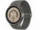 Image Умные часы Samsung Galaxy Watch5 Pro R920 45mm Grey Titanium