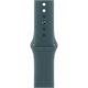Image Ремешок Apple Watch 42mm Sport Band Lake Green S/M