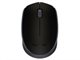 Image Mouse Logitech M171 Black/Grey