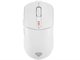 Image Mouse Genesis Zircon 500, White