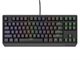 Image Tastatură Genesis Thor 230 TKL US, Black