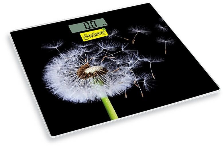 Image Cântar de podea Maestro MR-1828