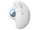 Image Mouse Logitech M575S, White