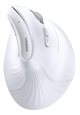 Image Mouse UGREEN MU008, White