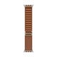 Image Ремешок APPLE Watch  49mm  Alpine Loop Terra Cotta L