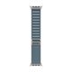Image Ремешок APPLE Watch  Alpine Loop 49mm Light Blue L