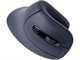 Image Wireless Mouse Gembird MUSW-ERGO-03