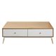 Image Журнальный столик Marani 120x60x40H Stejar M33 White
