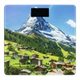 Image Напольные весы Ardesto SCB-965 Matterhorn