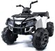 Image Электроквадроцикл Lean Cars BDM 0909 White