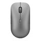 Image Mouse Lenovo Pro Plus 6050, Grey