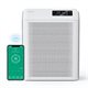 Image Dezumidificator de aer Evoair HOMI P300