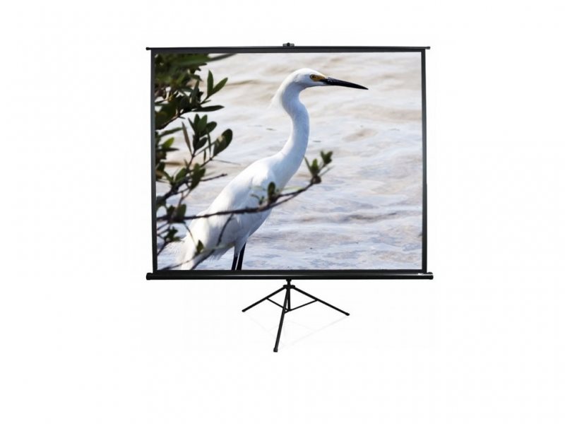 Image Проекционный экран Lumi PDB120 Tripod 120" (183x244)