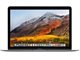 APPLE MacBook 12.0" 2017 Space Gray 12.0"