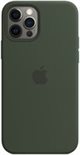 Husă Original iPhone 12/12 Pro Silicone Case with MagSafe Cypress Green